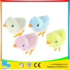 Hot Sale colorful wind up toys animal chick for kids