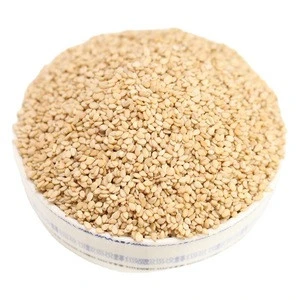 Hot Sale Halal Certificate China New Crop Washed Sesame Seeds White Wholesale