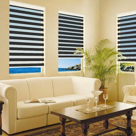 Hot Sale office modern day and night  horizontal korean windows combi zebra blinds