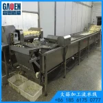 hot sell Industrial garlic machinery