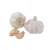 Import Hot Selling 2020 China Fresh Normal White Garlic In Bulk from China