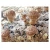 Import Hot selling shiitake mushroom spawn bag dehydrate vegetables from China