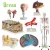 Import Human Digestive System board for teaching  medical model for Demonstration from China