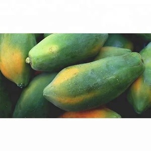 hybrid Fresh Papaya