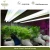 Import Hydroponic Vertical Farming and Indoor Gardens Projects from Spain