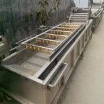 Industrial Fresh Vegetable Washer