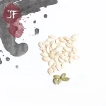 inner mongolia  low price  pumpkin seeds with high quality