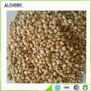 inner mongolia origin top quality roaste buckwheat kernel