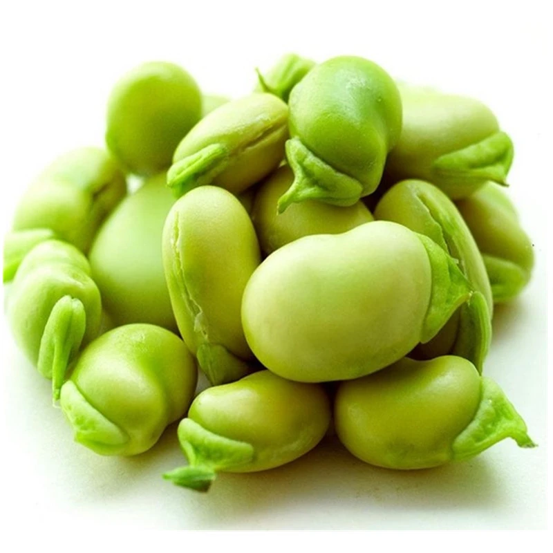 IQF frozen broad beans with best quality and hot price