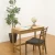 Import Japanese hot sale natural color modern home office camphor solid wood desk from Japan