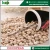 Import Kabuli Chana 9mm for Suppliers Chickpeas COMMON Dried AD from India