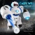 Import Large early education intelligent gesture sensing robot remote control educational electric light music dance children&#39;s toys from China