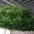 Import Latest design modern artificial plants faux ficus tree artificial banyan tree for indoor outdoor decor from China