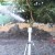 Import Long Service Life Drip Aluminum Alloy Garden Lawn Sprinkler from China