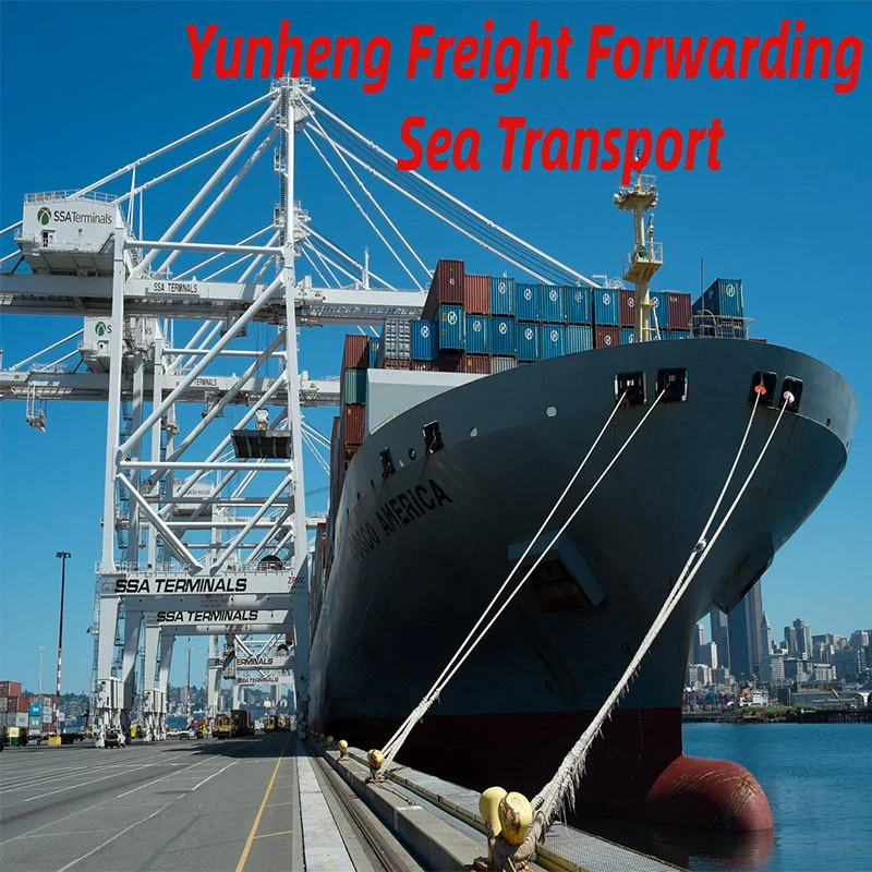 Lowest rates fastest sea cargo freight Logistics service from China to Australia/New Zealand