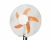 Import Lowpriced floor fan home dormitory electric fan floor electric fan household from China