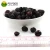 Import Lujia wholesale Individual package High Quality Sour Blueberry Freeze-Dried Freeze Dried Powder from China