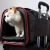 Import Luxury Portable Foldable Washable Wholesale Small Travel Airline Approved Pet Cat Dog Bag Outdoor Carrier from China