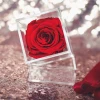 Luxury small 1 hole clear acrylic flowers box packaging for rose,acrylic display box