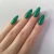 Import LY Wholesale Green Avocado Pure Colors Nail Salon Supplies Nail Art Paint Nail Polish Uv Gel Nails Polish Gel Sets from China