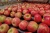 Import Made in Italy wooden cases fresh stayman apple from Italy