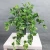 Import Make and sale all kinds of artificial plants bush hanging for indoor decoration from China