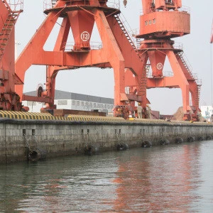 marine supplies customized D type rubber dock fender fix on vessels
