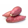 Matured delicious white yellow purple red sweet potato