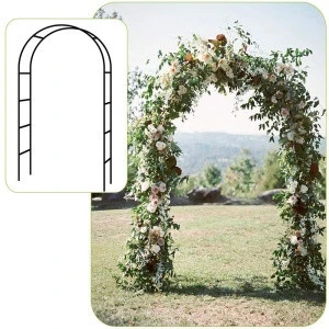 Metal Garden Arch with gate For Plants Climbing