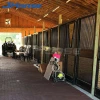 More Types Horse House Durable Good Quality Customized Size Horse Stall Stables