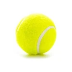 Most Popular Head Tennis Balls OEM Factory Hot Sale Wholesale White Tennis Balls for Sports