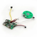 Motion Sensor Recordable Programmable Sound Module