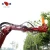 Import Multi-functional garden tools hedge trimmer from China