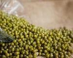 Mung Beans/Vigna Beans