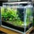 Import Nano LED aquarium light for plant tank super white led special design for plant from China