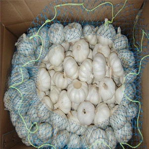 Natural white garlic fresh garlic/China garlic/Shang dong garlic