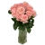 New Arrival Export Fresh Cut Flowers Diana Roses From Yunnan