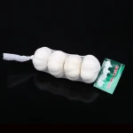 New China fresh pure white garlic