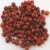 Import New Crop Dried Rosehip(dogrose) Teabag Cut (TBC) As Flavored Tea from China