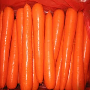New Crop Fresh Carrot 2018 cheap price