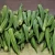 Import New Crop Fresh Frozen Okra from China