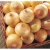 Import New crop Fresh Yellow Onion, red onion export from china from China