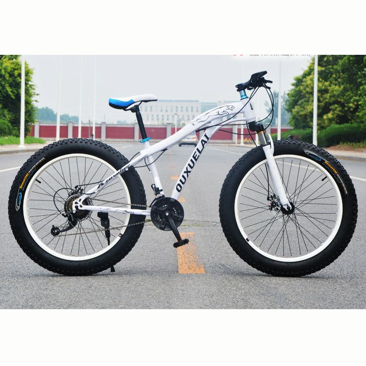 New design Light weight Aluminum mountain Bicycle with no derailleur/Mountain bike frame