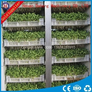 New products best sell mung soy bean sprout machine