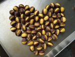 new season 60-80 grains/kg easily peeled sweety  fresh chinese chestnut