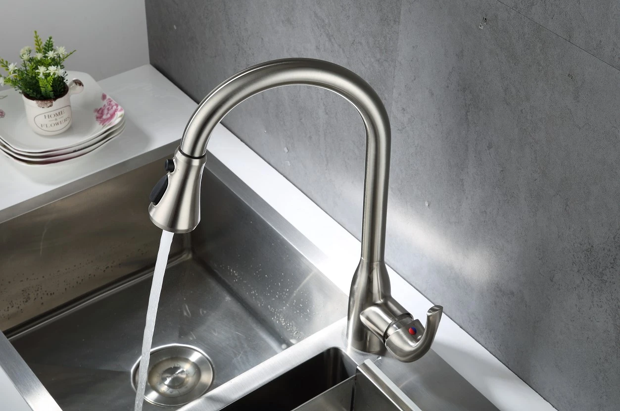 New Style Stainless Steel Fashion Pull Out Sprayer Kitchen Taps Sink Faucet Kitchen Faucet 6565BN