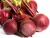 Import New Vegetable Fresh Beetroot with High Quality and Best Price from Vietnam