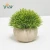Import OEM artificial plastic plant bonsai artificial flower bonsai table top decoration green plant ornament clover office grass from China