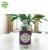 Import OEM high quality 100% pure Aromatherapy lavender essential oil for diffuser and improve sleep from China