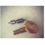 OEM machining worm spur bevel gear for box